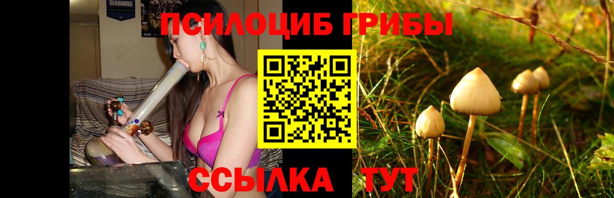 Псилоцибиновые грибы GOLDEN TEACHER  Галлюциногенные грибы Psilocybine cubensis  Мценск  Вход с VPN 